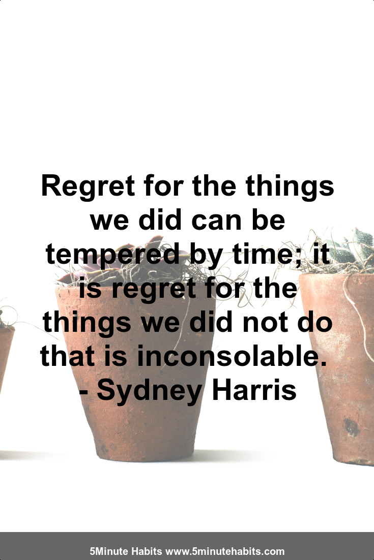 Regret for the things we did can be tempered by time; it is regret for the things we did not do that is inconsolable.  - Sydney Harris